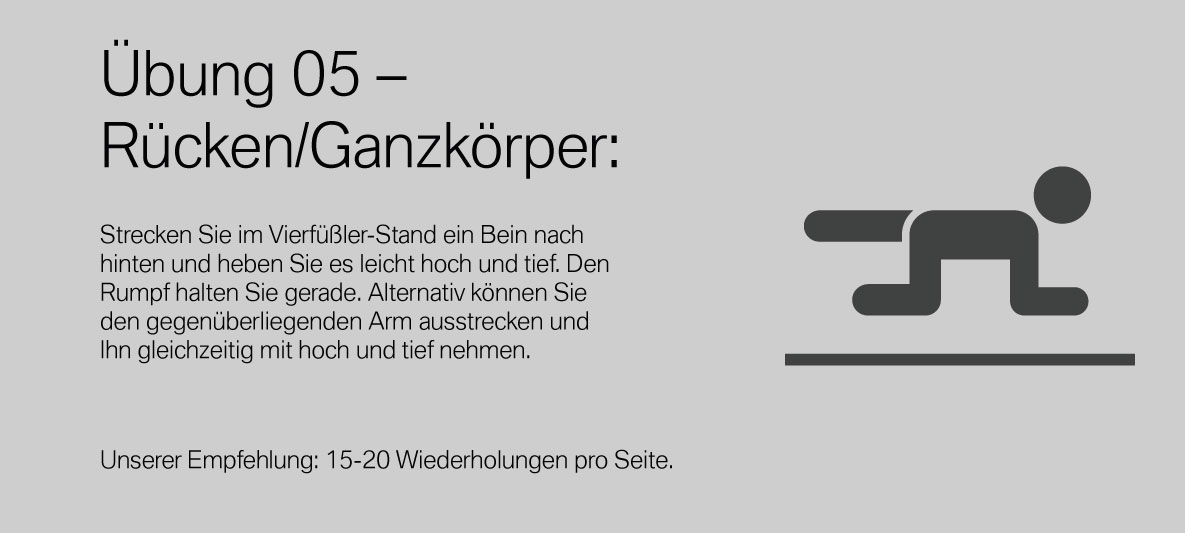 Übung 5 Rücken Ganzkörper Übung 5 Rücken Ganzkörper